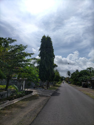 Similar image 22503971