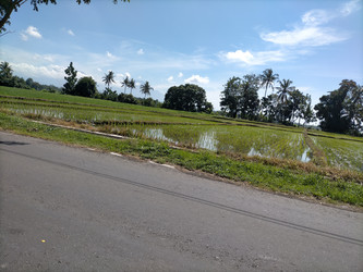 Similar image 22503972