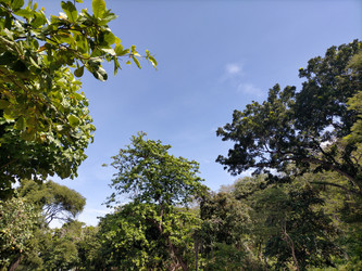 Similar image 22532581