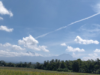 Similar image 22532604