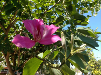 Similar image 22532648