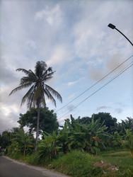 Similar image 22532669