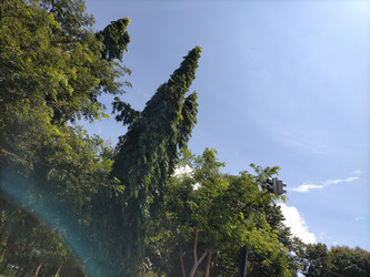 Similar image 22532688