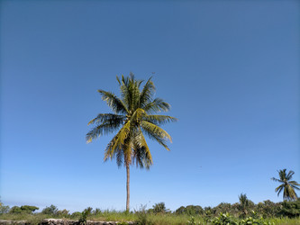 Similar image 22532689