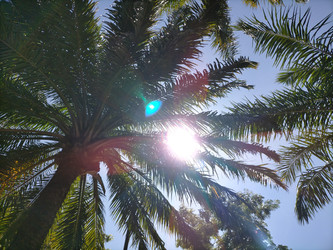 Similar image 22532757