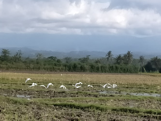 Similar image 22532802