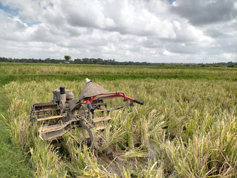 Similar image 22532824