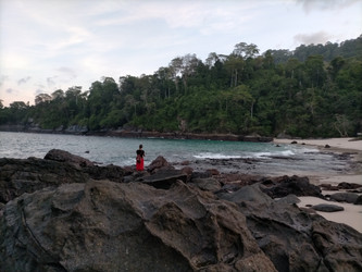 Similar image 22532848