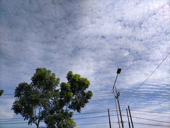 Similar image 22532873