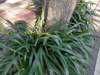 Similar image 22532894