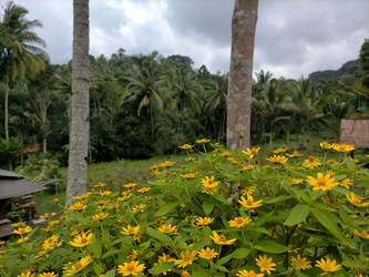 Similar image 22532895