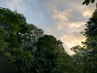 Similar image 22532940