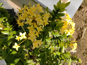 Similar image 22532963