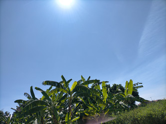 Similar image 22532983