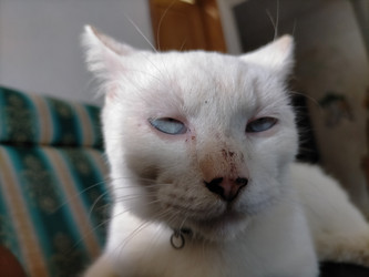 Similar image 22533005