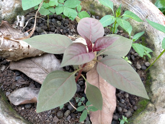 Similar image 22533007