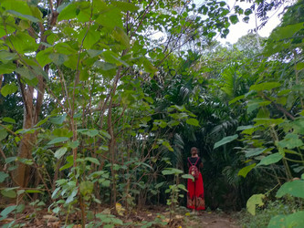 Similar image 22533028