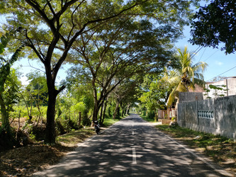 Similar image 22533052