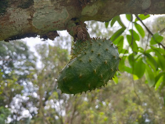 Similar image 22533096