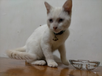 Similar image 22533118