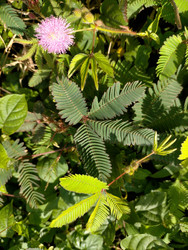 Similar image 22533162