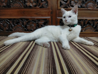 Similar image 22533185