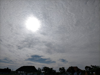 Similar image 22533231