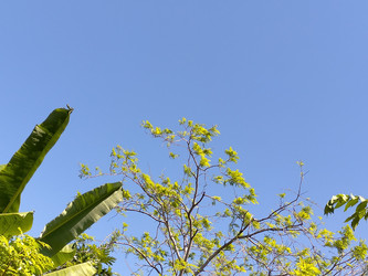 Similar image 22533262