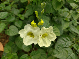 Similar image 22533263