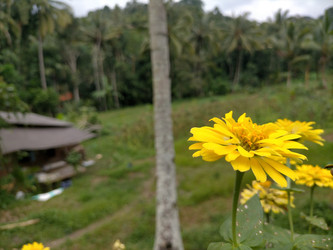 Similar image 22535707