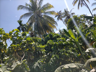 Similar image 22535723