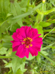 Similar image 22535752