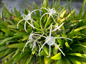 Similar image 22535753