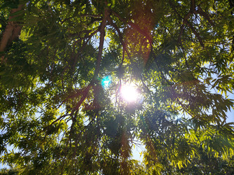 Similar image 22535767