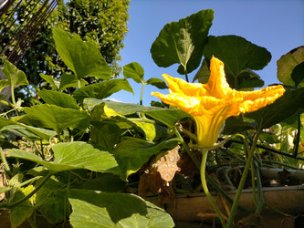 Similar image 22535812