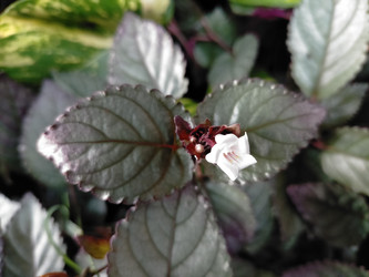 Similar image 22535828