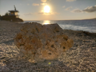 Similar image 22535842