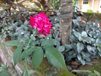 Similar image 22535843