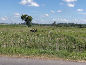 Similar image 22535872