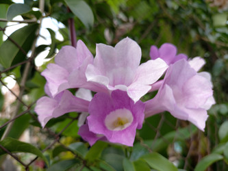 Similar image 22535873