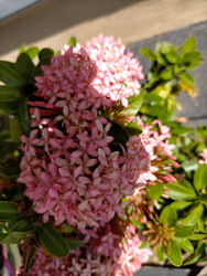 Similar image 22535903