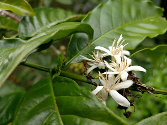 Similar image 22535932