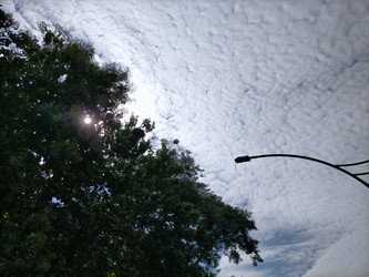 Similar image 22535948