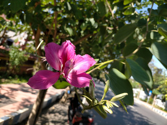 Similar image 22535978