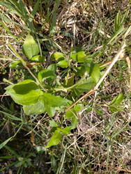 Similar image 22536007