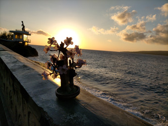 Similar image 22536008