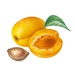 Similar image 22497752