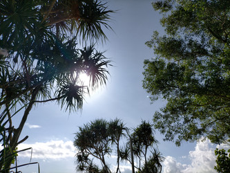 Similar image 22536052