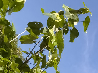 Similar image 22536053