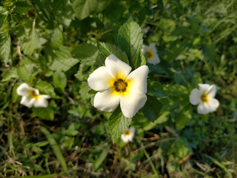 Similar image 22536067